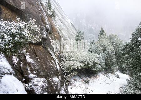 Verticale scogliere di granito in inverno tempesta di neve Blizzard nel Parco Nazionale di Yosemite sul famoso sentiero escursionistico a superiore di Yosemite Falls Foto Stock