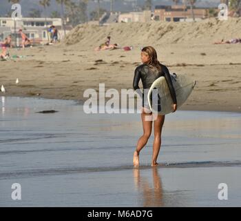 Bella e montare il Latino donna surfer in muta e con tavole da surf sulla spiaggia di Mission Beach, San Diego, California, USA. Foto Stock