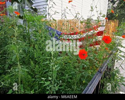 Red Hook, Brooklyn, New York: bandiera americana parzialmente nascosto dietro un cantiere sovradimensionate riempito di erbacce e fiori di colore rosso. Foto Stock