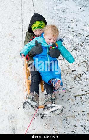 Bambino di otto anni e il suo 18mese vecchio fratello. Discese in slittino o in slittino sulla neve , Medstead, Alton, Hampshire, Inghilterra, Regno Unito. Foto Stock