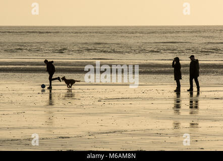 Tre persone che camminano con un cane sulla spiaggia di West Wittering, West Sussex, a bassa marea su una fine inverno pieno di sole del pomeriggio. Foto Stock