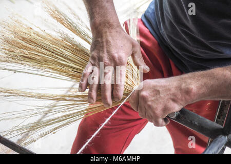 Ginestra rendendo la tradizione nel villaggio sassone di Altana, Sibiu, Romania Foto Stock