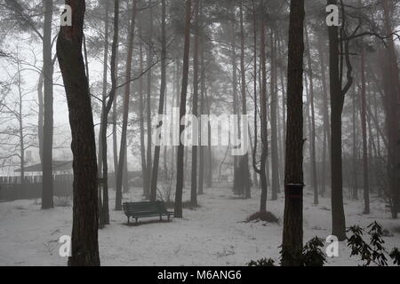 Pesante velatura in un parco in inverno Foto Stock