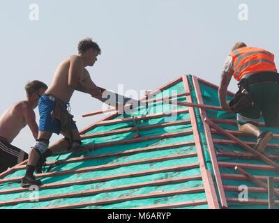 Coperture gli appaltatori che lavorano sul tetto della nuova build Hopkins case di sviluppo, NORFOLK Foto Stock