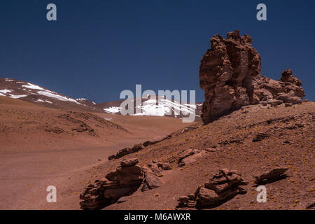 Monaci della Pacana, San Pedro de Atacama, deserto di Atacama, Cile Foto Stock