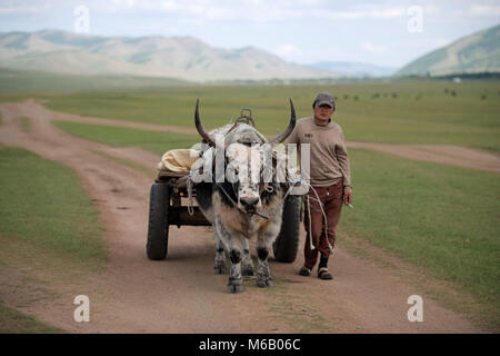 Un nomade uomo Mongolo che viaggiano da ox carrello attraverso la steppa mongola. Gorkhi-Terelj Parco Nazionale, Mongolia. Foto Stock