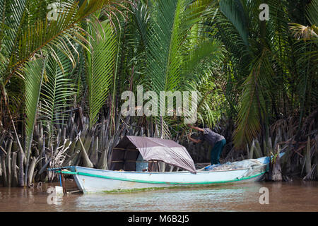 Persona che raccoglie Nipa Palm fronts (Nypa fruticans) da una barca lungo il fiume Sekonyer nella provincia centrale di Kalimantan, Indonesia Foto Stock