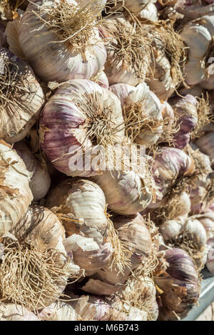 Aglio sulle bancarelle del mercato Apt Vaucluse Provenza-Alpi-Costa azzurra Francia Foto Stock