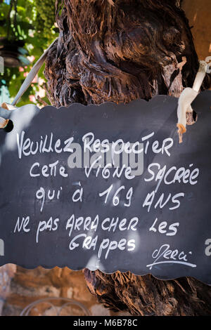 169 anni Grapevine Roussillon Apt Vaucluse Provenza-Alpi-Costa azzurra Francia Foto Stock