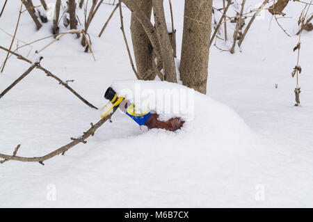 Rifiuti, Garbage, cestino di una bottiglia di vetro e plastica sotto la neve in natura nella foresta. Disseminato e inquinamento natura Foto Stock