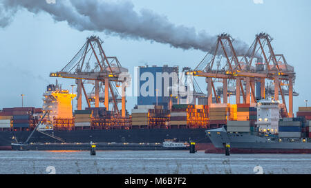 Contenitore di carico delle navi a Europoort tweede maasvlakte porto nel porto di Rotterdam Paesi Bassi al crepuscolo durante ore blu Foto Stock