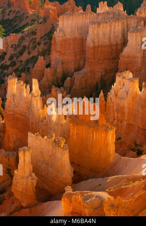 Wall Street, il Parco Nazionale di Bryce Canyon, Utah Foto Stock