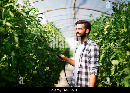 Giovane agricoltore la protezione dei suoi impianti con prodotti chimici Foto Stock