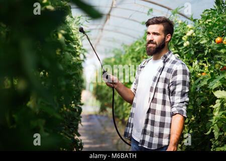 Giovane agricoltore la protezione dei suoi impianti con prodotti chimici Foto Stock