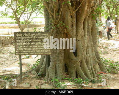 La cosiddetta 'magic tree" all'interno di Choeung Ek Memorial (killing fields) in Phnom Penh Cambogia Foto Stock