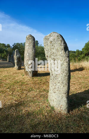 Foto e immagini di età preistorica età del rame proto antropomorfe in pietra permanente statua menhir nel Biru 'e Concas archaeolological sito, Sorgono, Foto Stock