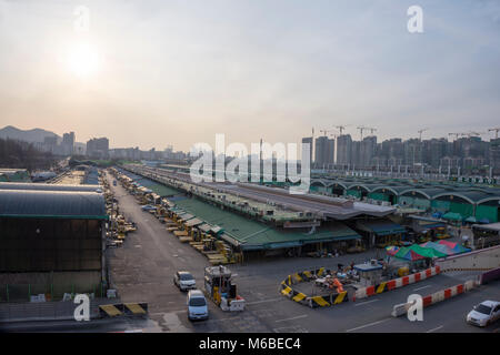 Una vista della frutta e verdura del mercato all'ingrosso in Garak Market di Seoul Foto Stock