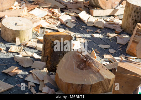 Tagliare tronco di faggio dopo San Tommaso legno concorso di trinciatura in Bilbao Foto Stock