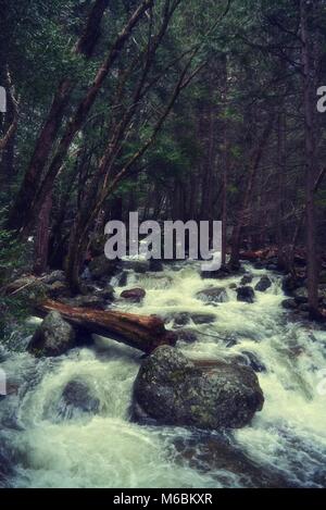 Fiume che scorre da Bridaveil rientra nel Parco Nazionale di Yosemite - pietre, alberi, acqua - California, Stati Uniti - Aprile, tempo di primavera Foto Stock