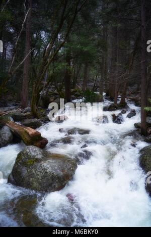 Fiume che scorre da Bridaveil rientra nel Parco Nazionale di Yosemite - pietre, alberi, acqua - California, Stati Uniti - Aprile, tempo di primavera Foto Stock