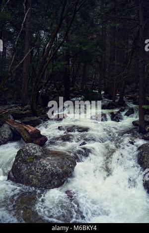 Fiume che scorre da Bridaveil rientra nel Parco Nazionale di Yosemite - pietre, alberi, acqua - California, Stati Uniti - Aprile, tempo di primavera Foto Stock