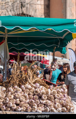 Aglio sulle bancarelle del mercato Apt Vaucluse Provenza-Alpi-Costa azzurra Francia Foto Stock