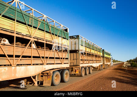 Un iconico 3 rimorchio stradale australiana treno viaggia lungo l'Abbondanza Hwy vicino a Gemtree nel Territorio del Nord, l'Australia Foto Stock