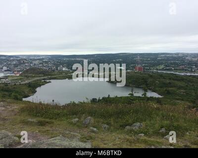 Fotografia del Terranova Foto Stock