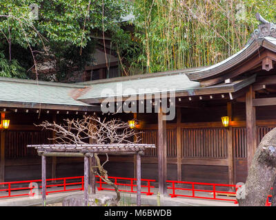 Lo Shintoismo shine cortile interno a Tokyo in Giappone. Lanterne intorno al balcone con ringhiera rossa e albero di bonsai in centro. Bambù verde in background. Foto Stock