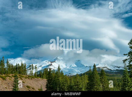 Nube lenticolare, Mount Shasta, Shasta-Trinity National Forest, California Foto Stock