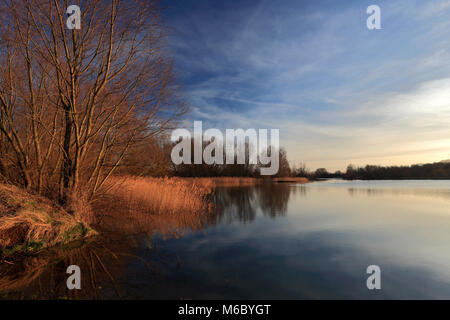 Estate tramonto su un Fenland Drain; vicino a Ely città; Cambridgeshire; Inghilterra; Gran Bretagna; Regno Unito Foto Stock