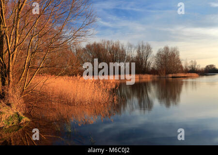 Estate tramonto su un Fenland Drain; vicino a Ely città; Cambridgeshire; Inghilterra; Gran Bretagna; Regno Unito Foto Stock