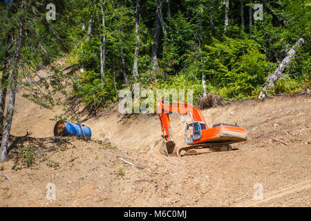 Foto di escavatore di lavoro nel giorno di estate in foresta sullo sfondo di alberi Foto Stock