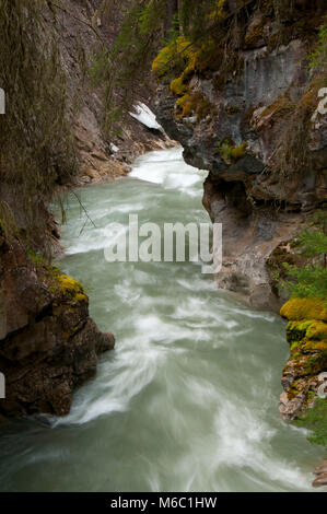 Johnston Creek lungo Johnston Canyon Trail, il Parco Nazionale di Banff, Alberta, Canada Foto Stock