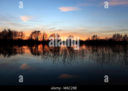 Estate tramonto su un Fenland Drain; vicino a Ely città; Cambridgeshire; Inghilterra; Gran Bretagna; Regno Unito Foto Stock