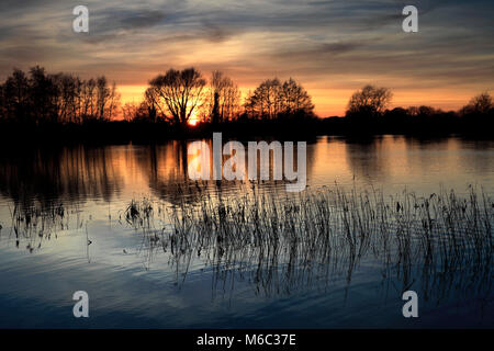 Estate tramonto su un Fenland Drain; vicino a Ely città; Cambridgeshire; Inghilterra; Gran Bretagna; Regno Unito Foto Stock