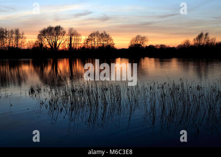 Estate tramonto su un Fenland Drain; vicino a Ely città; Cambridgeshire; Inghilterra; Gran Bretagna; Regno Unito Foto Stock