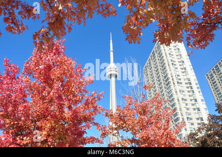 CN Tower durante l'autunno, Toronto, Canada Foto Stock