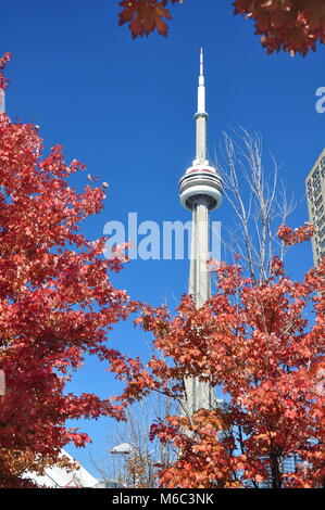 CN Tower durante l'autunno, Toronto, Canada Foto Stock