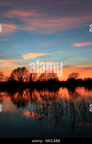 Estate tramonto su un Fenland Drain; vicino a Ely città; Cambridgeshire; Inghilterra; Gran Bretagna; Regno Unito Foto Stock