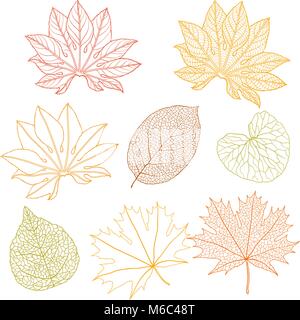 Set di foglie differenti. Una illustrazione vettoriale Illustrazione Vettoriale