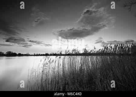 Estate tramonto su un Fenland Drain; vicino a Ely città; Cambridgeshire; Inghilterra; Gran Bretagna; Regno Unito Foto Stock