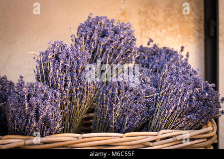 Lavanda in un cestello di Sault Vaucluse Provenza-Alpi-Costa azzurra Francia Foto Stock
