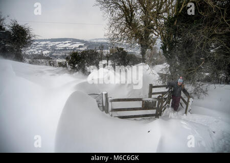 Una donna cammina attraverso cumuli di neve sulla collina di Solsbury appena al di fuori del bagno in Somerset dopo la nevicata. Bestia da est, Storm est. Foto Stock