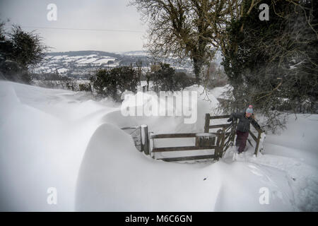 Una donna cammina attraverso cumuli di neve sulla collina di Solsbury appena al di fuori del bagno in Somerset dopo la nevicata. Bestia da est, Storm est. Foto Stock