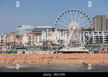 BRIGHTON, Regno Unito - 5 GIU 2013: Holidayers godendo di buone condizioni atmosferiche in corrispondenza di spiaggia di ciottoli vicino alla ruota panoramica su una soleggiata giornata estiva Foto Stock