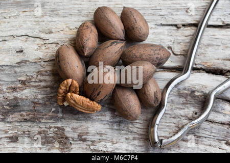 Noci pecan Foto Stock