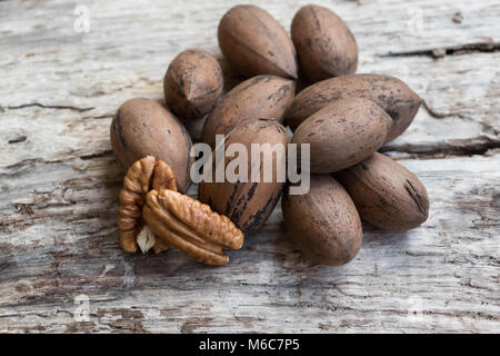 Noci pecan Foto Stock