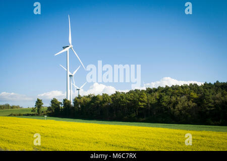 Paesaggio rurale con i semi di colza e di campo coltivato Foto Stock