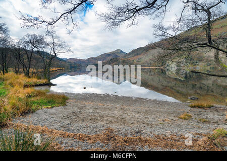 Novembre a Llyn Gwynant nel Parco Nazionale di Snowdonia nel nord del Galles Foto Stock